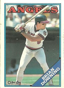1988 O-Pee-Chee Baseball Cards 331     Brian Downing